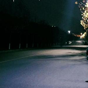 美女顺着丝袜往上摸视频大全
